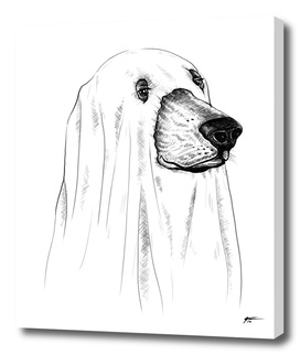 ghost dog