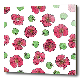 Poppies flowers and seeds pattern