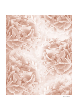 Soft Terracotta Peonies Dream #1 #floral #decor #art