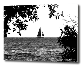 Sail in black and white
