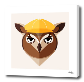 Owl Illustration
