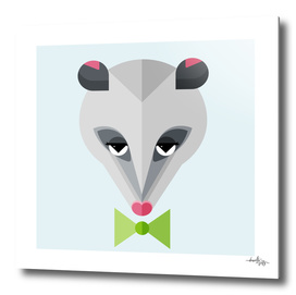 Opossum Illustration