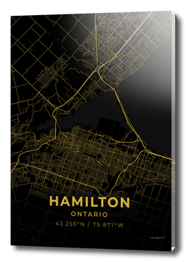 Hamilton City Map