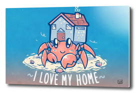 I love my Home Hermit Crab
