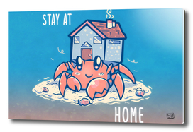 Stay at Home Hermit Crab