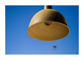 Spider Light