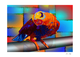Tropic Parrot Bird
