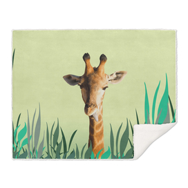 small_leaves_giraffe