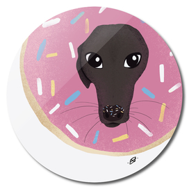 Cute Whippet Poking his Head Through A Pink Doughnut