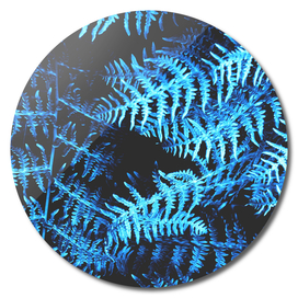 BLUE SERIES Botanical fern jungle in blue shades