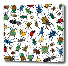 Beetles Pattern