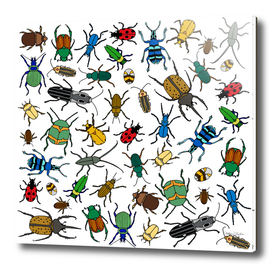 Beetles Pattern