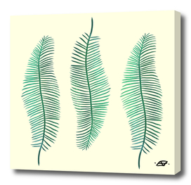 3 Palm Leaves - Botanical Illustration - Line Art
