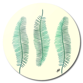 3 Palm Leaves - Botanical Illustration - Line Art