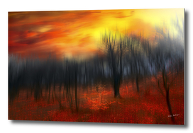 sunset in autumn forest