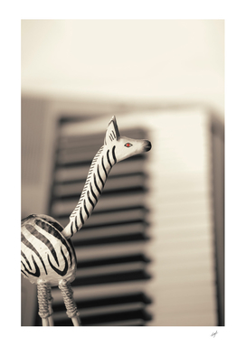 Piano Zebra