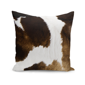 Beautiful Highland Cow Cowhide