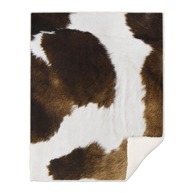 Beautiful Highland Cow Cowhide