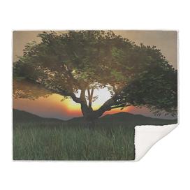 Sunset Tree 2020