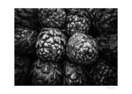 closeup artichoke texture background in black and white