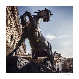 Horse statue. Museum D'Orsay