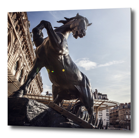 Horse statue. Museum D'Orsay
