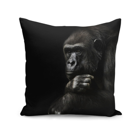 Monkey anthropoid gorilla female. a symbol of   rationality