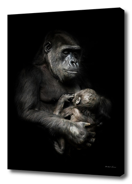 Gorilla monkey mother