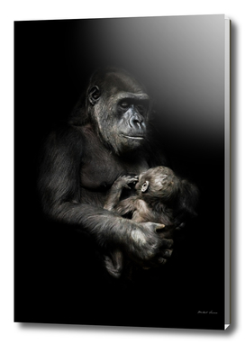 Gorilla monkey mother
