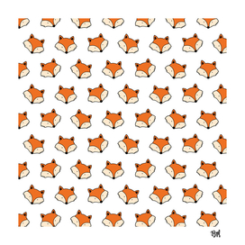 Fox pattern
