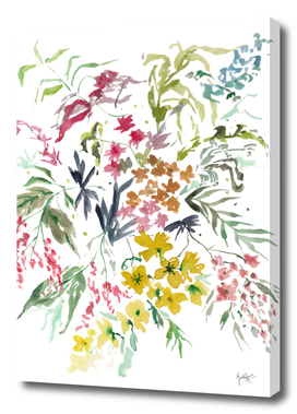 Botanical wildflowers watercolor