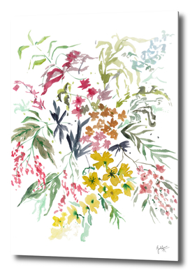 Botanical wildflowers watercolor