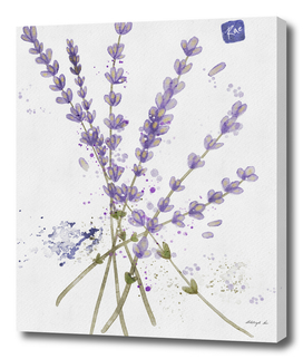Lavender | Digital Watercolor Painting