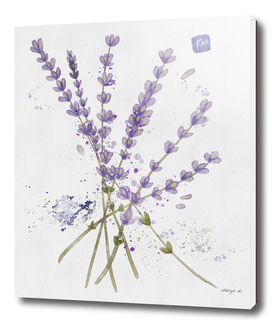 Lavender | Digital Watercolor Painting