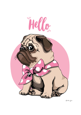 Pug with a bow tie