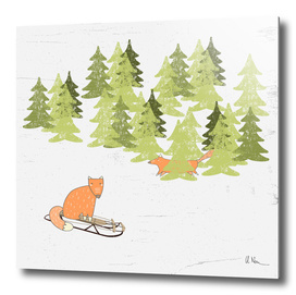 Winterfun- Sledging foxes in winter forest