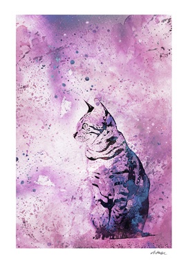 Purple Cat