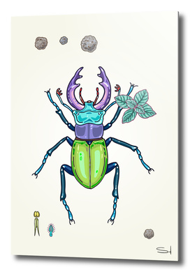 happy stag-beetle
