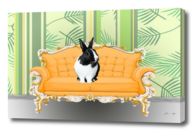 couch_yellow_b_w_rabbit