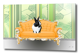 couch_yellow_b_w_rabbit