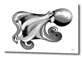 Octopus BW ink
