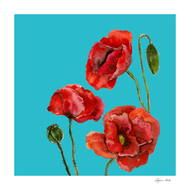 poppies on blue