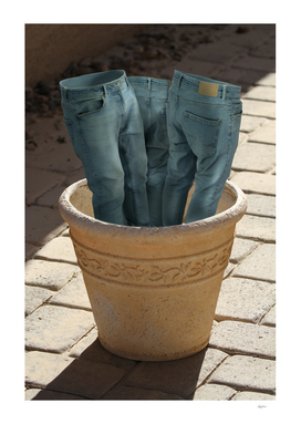 Potted Pants