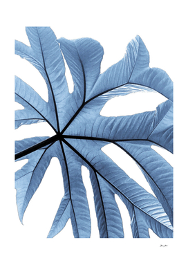 Blue Tropical Foliage #minimaldecor