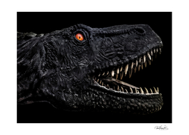 Trex Dinosaur Head Dark Poster