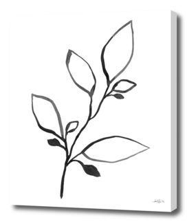Black Ink Botanical Line Art - Plant 1