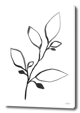 Black Ink Botanical Line Art - Plant 1