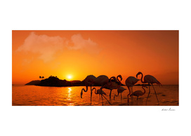 RDP-COMP 550003 Flamingos Sunset_