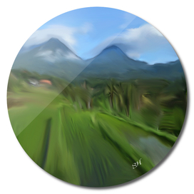 Indonesian rice fields