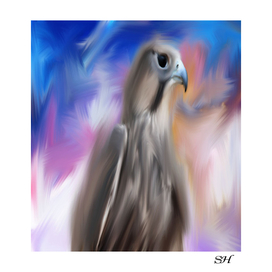 abstract falcon bird